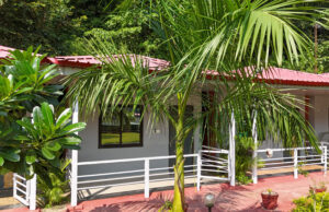 Stay at Luxury camps or a city hotel ? What brings you closer to Rishikesh