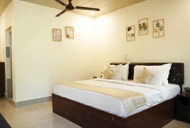 Best Camps in Rishikesh